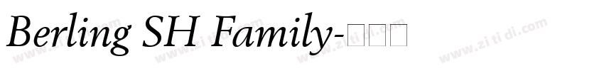 Berling SH Family字体转换